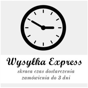 Wysyłka Express
