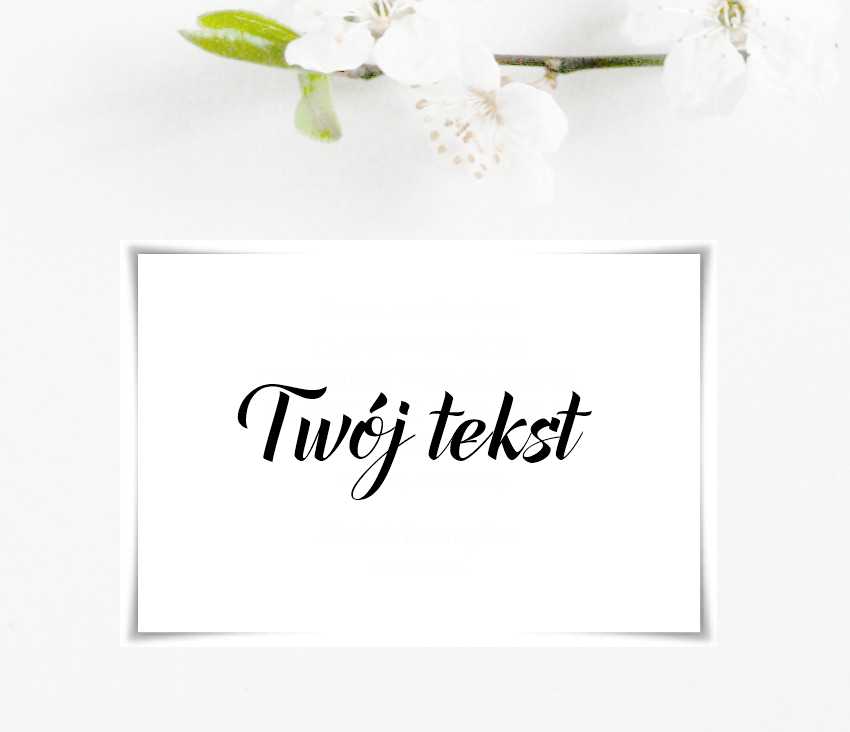 Dodatkowa kartka wzór 10